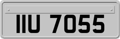 IIU7055