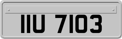 IIU7103