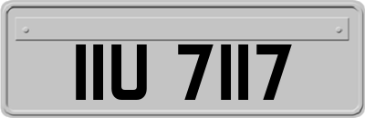 IIU7117