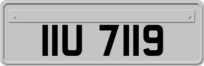 IIU7119