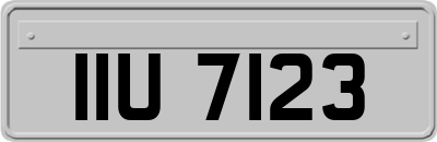 IIU7123