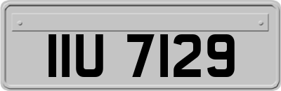 IIU7129