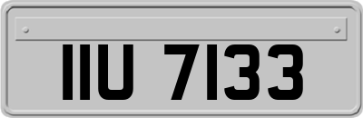 IIU7133