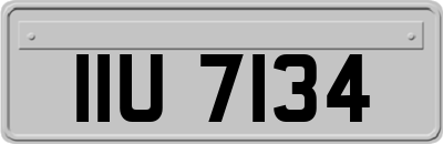 IIU7134