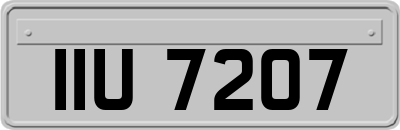IIU7207