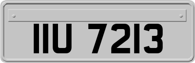 IIU7213