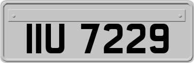 IIU7229