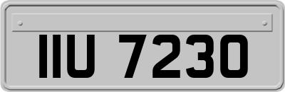 IIU7230