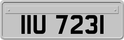 IIU7231
