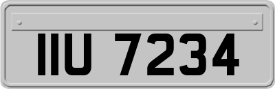 IIU7234