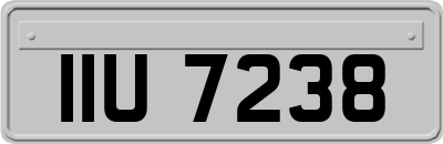 IIU7238