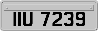 IIU7239