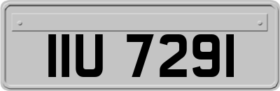 IIU7291