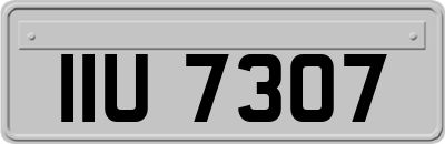 IIU7307