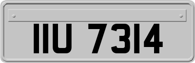 IIU7314