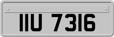IIU7316