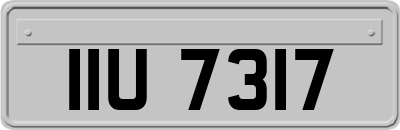 IIU7317
