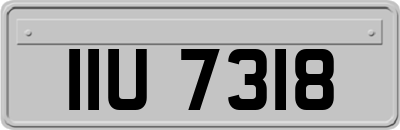 IIU7318