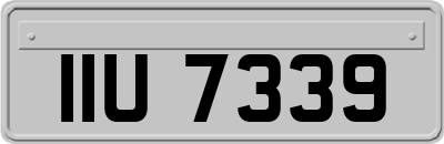 IIU7339
