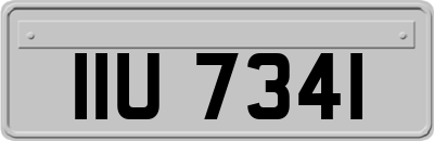 IIU7341