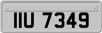 IIU7349