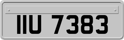 IIU7383