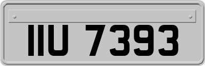 IIU7393