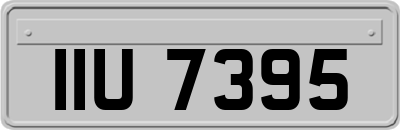 IIU7395