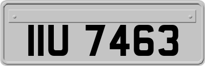 IIU7463