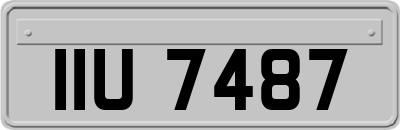 IIU7487