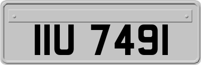 IIU7491