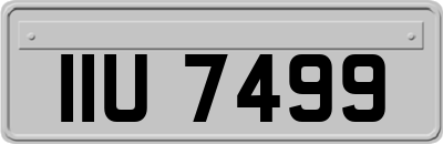 IIU7499