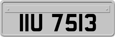 IIU7513