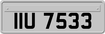 IIU7533