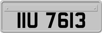 IIU7613