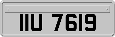 IIU7619