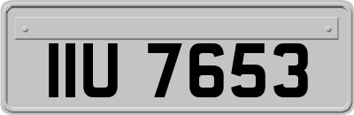 IIU7653