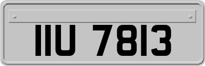 IIU7813
