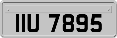 IIU7895