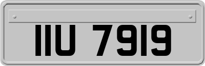IIU7919