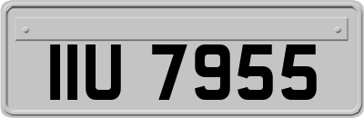 IIU7955