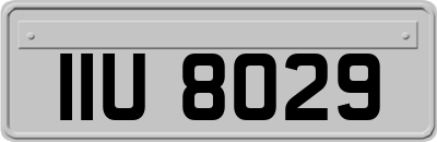 IIU8029