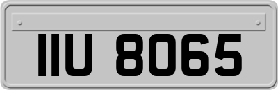 IIU8065