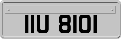 IIU8101