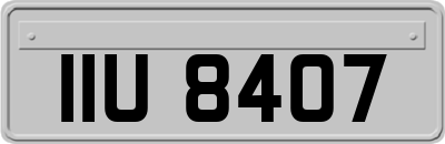 IIU8407