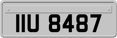 IIU8487