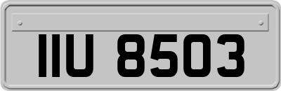 IIU8503