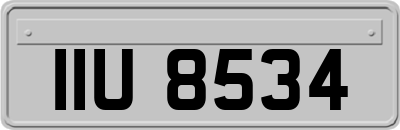 IIU8534