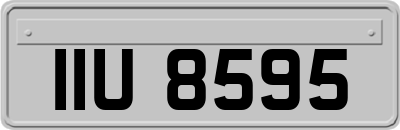 IIU8595