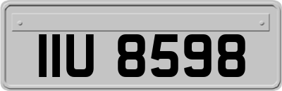 IIU8598